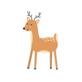 Cute deer character in cartoon style. Forest animal isolated element for kids and baby design Royalty Free Stock Photo