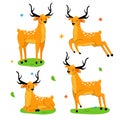 Cute deer - flat design style set of cartoon characters