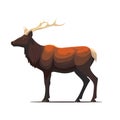 Cute deer isolated. Beautiful image of a deer. Deer in flat style