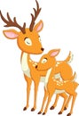 Cute deer mother cartoon with her baby deer