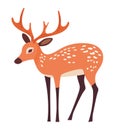 Cute deer standing design