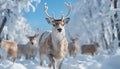 Cute deer in winter forest, looking at camera, snowing generated by AI