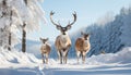 Cute deer in winter forest, looking at camera, snowing generated by AI