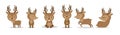 Cute Deers in flat style set on white background Royalty Free Stock Photo