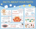 Cute dental care infographics for kids. Vector funny stomatology information poster with cute smiling characters. Teeth facts info Royalty Free Stock Photo