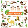 Desert Animal cartoon on white background with animal name. Vector illustration