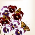 Cute design with realistic violets flowers Royalty Free Stock Photo