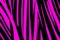 Cute diagonals zebra abstract background. Pink and black illustration. Fashion style. Stripes texture cover page layout template. Royalty Free Stock Photo