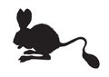 Jerboa. Vector drawing