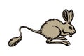 Jerboa. Vector drawing