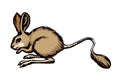 Jerboa. Vector drawing