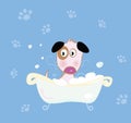Cute dog bath Royalty Free Stock Photo