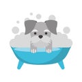 Cute Dog bathing in the tub Royalty Free Stock Photo