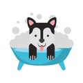 Cute Dog bathing in the tub Royalty Free Stock Photo
