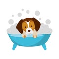 Cute Dog bathing in the tub Royalty Free Stock Photo