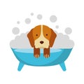 Cute Dog bathing in the tub Royalty Free Stock Photo