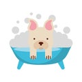 Cute Dog bathing in the tub Royalty Free Stock Photo