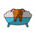Cute Dog bathing in the tub Royalty Free Stock Photo
