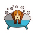 Cute Dog bathing in the tub Royalty Free Stock Photo
