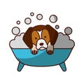 Cute Dog bathing in the tub Royalty Free Stock Photo