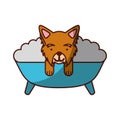Cute Dog bathing in the tub Royalty Free Stock Photo