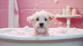 Cute dog in bathtub with foam on pink background, close up