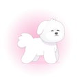 Cute dog Bichon Frize in a stylized style vector illustration