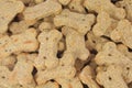Cute Dog Biscuits Shaped into a Bone Royalty Free Stock Photo