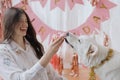 Cute dog biting birthday donut on background of pink decorations, celebrating first birthday Royalty Free Stock Photo