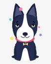 Cute dog with bone collar domestic cartoon animal, pets