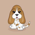 Cute dog breed basset hound Royalty Free Stock Photo