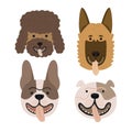 Cute dog breeds collection set vector.