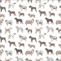 Cute dog breeds pedigree seamless pattern vector illustration set