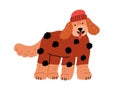 Cute dog in canine clothes, wearing warm sweater and winter hat. Funny labradoodle doggy in knitwear. Happy puppy in