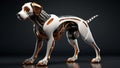 Cute dog canine portrait animals pets beautiful purebred sitting friend breed mammal