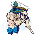 Cute dog in the captain`s cap. Captain. Royalty Free Stock Photo
