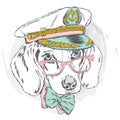 Cute dog in a captain`s cap. Charming puppy.