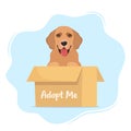 Cute dog in a cardboard box with the inscription Adopt me. Adopt a pet. Cute homeless puppy waiting for the adoption. Vector Royalty Free Stock Photo