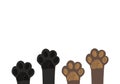 Cute dog&cat paw prints. Brown paw prints, Black paw prints Royalty Free Stock Photo