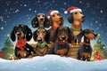 Cute dog celebration winter beagle happy holiday animal christmas pet Royalty Free Stock Photo
