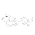 Cute dog character. Cartoon basset hound dog for coloring book