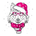 Cute dog in a Christmas hat and sunglasses. Royalty Free Stock Photo