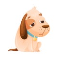 Cute Dog with Collar Sitting Feeling Sadness Vector Illustration