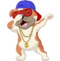 Cute dog dabbing dance wearing sunglasses, hat, and gold necklace Royalty Free Stock Photo