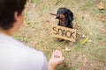 Cute dog dachshund, black and tan, with cardboard `snack ` begging and looks at the hand of a man with food, stretched out to him, Royalty Free Stock Photo