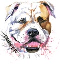Cute Dog. Dog T-shirt graphics. watercolor Dog illustration. Aggressive dog breed.