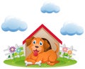 Cute dog at the doghouse in garden Royalty Free Stock Photo