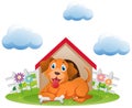 Cute dog at the doghouse in garden