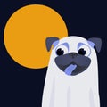 Cute dog dress up ghost suit in night. Little happy pug puppy in Halloween costume on backgraund with big moon . Ghost Costumes Royalty Free Stock Photo