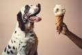 Cute dog eating ice cream in a waffle cone outdoors. Owner feeding his pet a gelato on summer day. Handing sweets to a dog